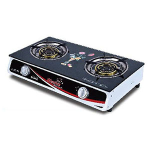 Stainless Steel Gas Stove